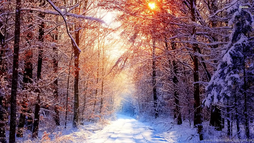 Winter Landscape Wallpapers   Wallpapers Cave