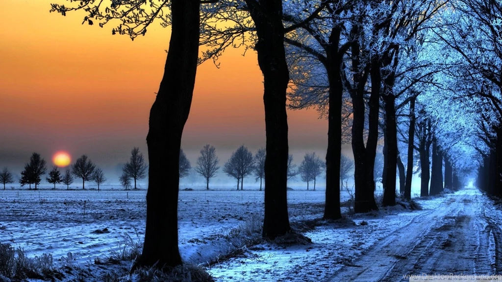 Landscapes Winter Hd Wallpapers