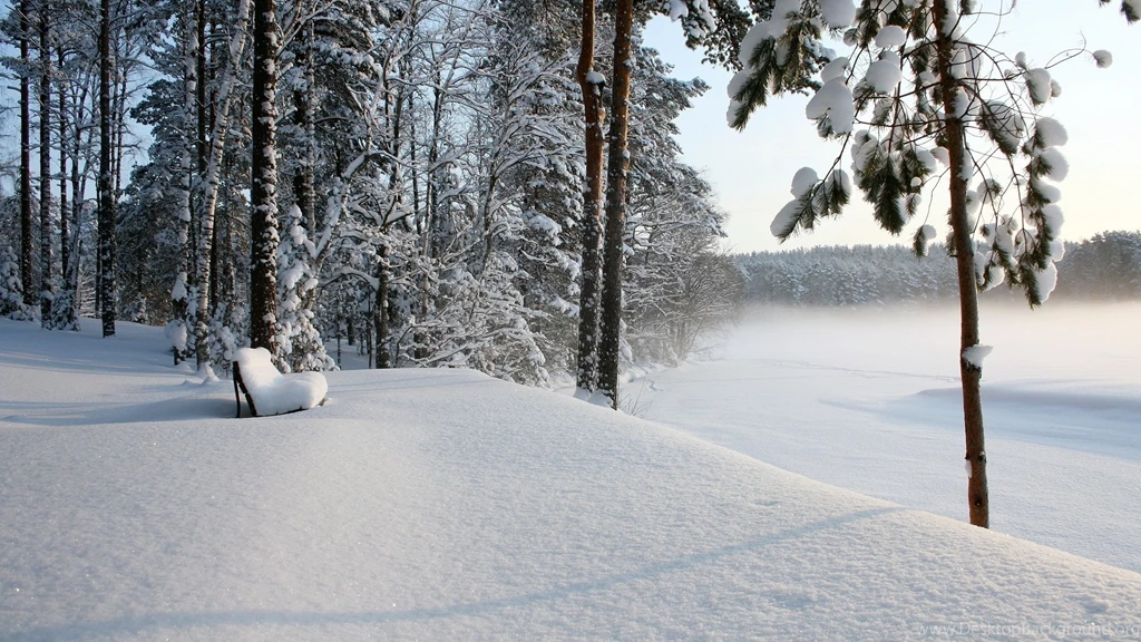 2560x1440 Winter Landscape Scenery Wallpapers