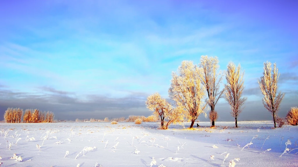 2560x1440 Snowy Winter Landscape Desktop PC And Mac Wallpapers