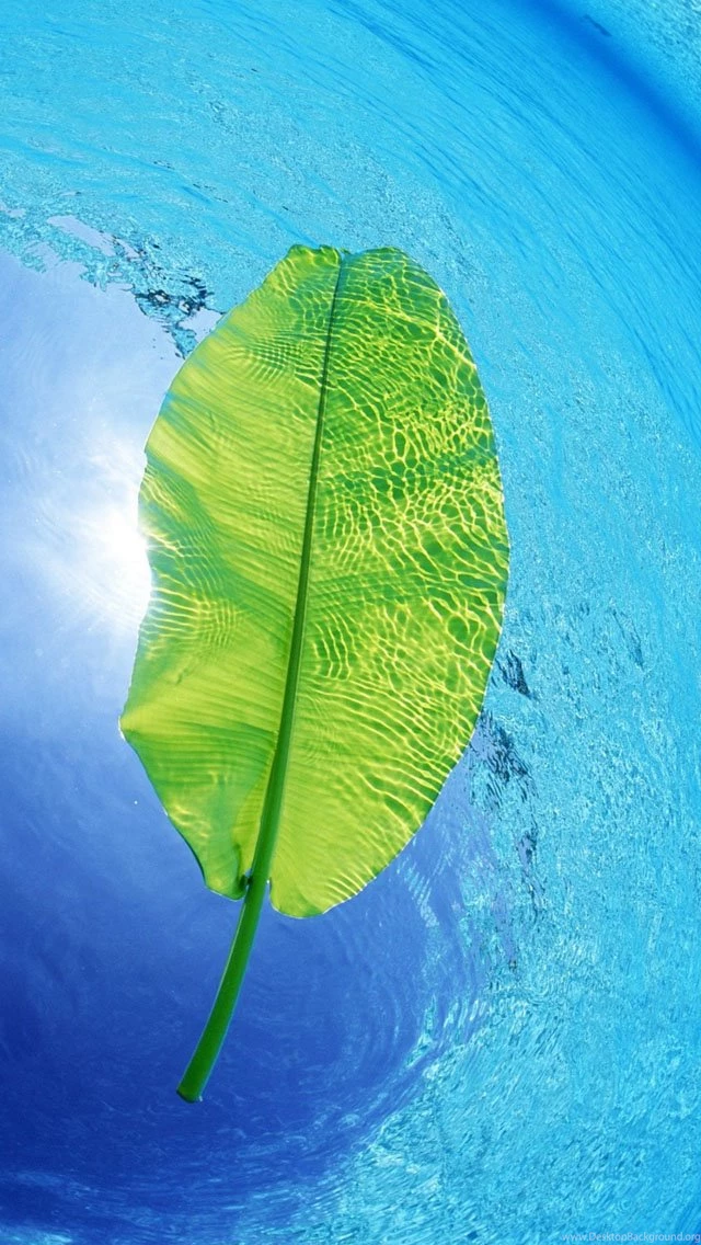 Waters iPhone 5s Wallpapers