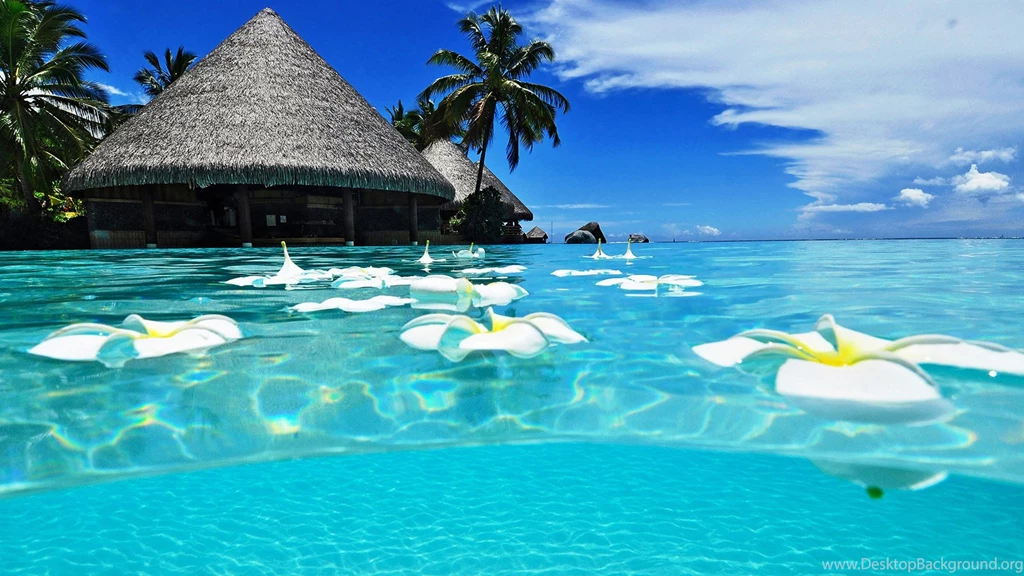Summer Clear Waters Of The Harbor Wallpapers, Beach Pictures And ...