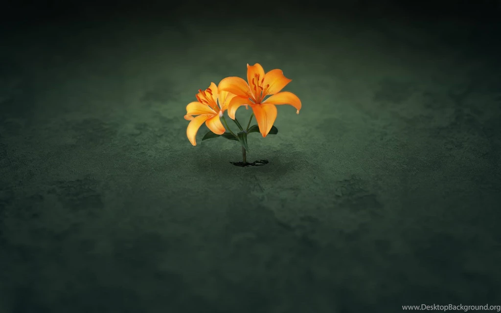 Wallpapers Abyss Alpha Coders 1920x1200