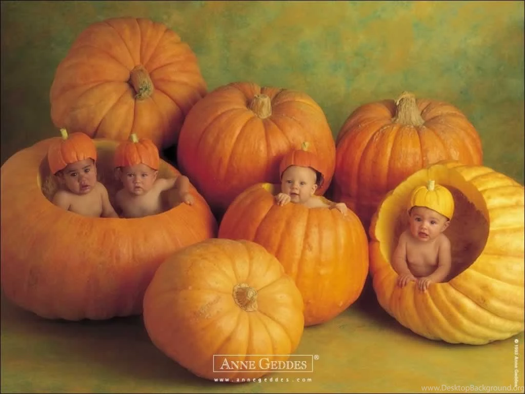 Wallpapers Twins Babies Hd 1024x768
