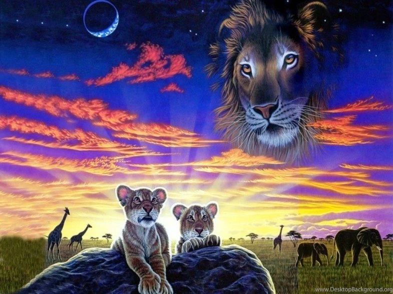 Cute Lion Animal Photo 3D   Free Wallpapers Party