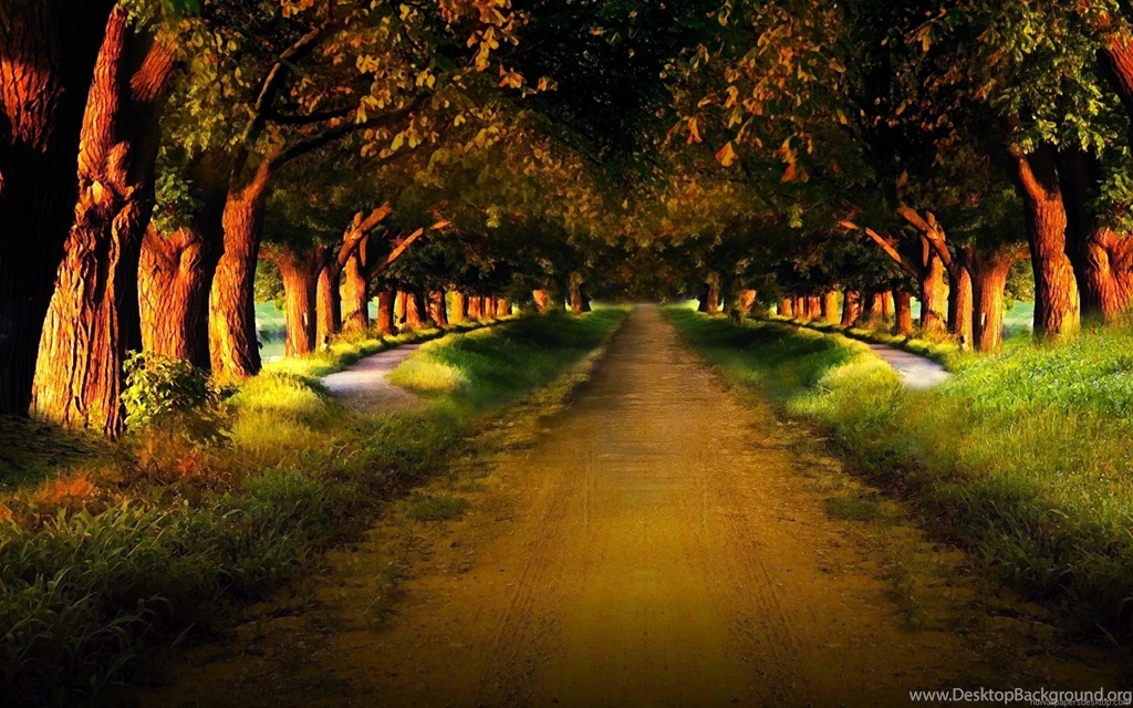 Desktop Wallpaper Images High Definition Fullwidehd.com