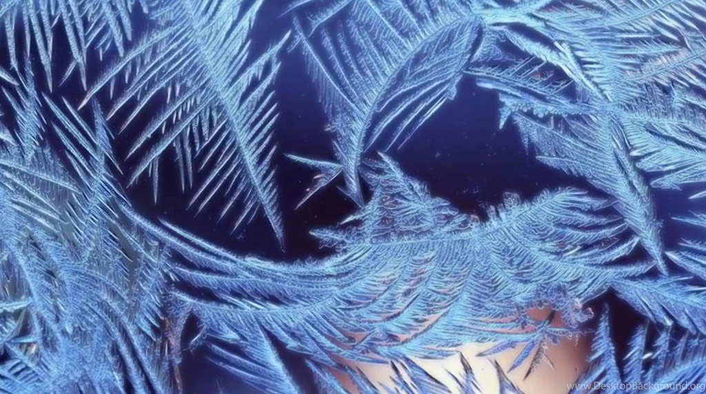 Desktop Wallpapers · Gallery · HD Notebook · Christmas Frost ...
