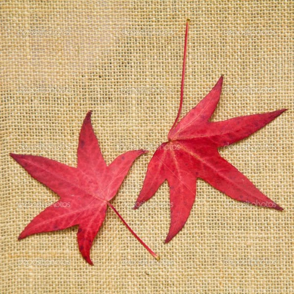 Jute Wallpapers Jute Wall Paper Jute Wall Covering Red Chinese ...