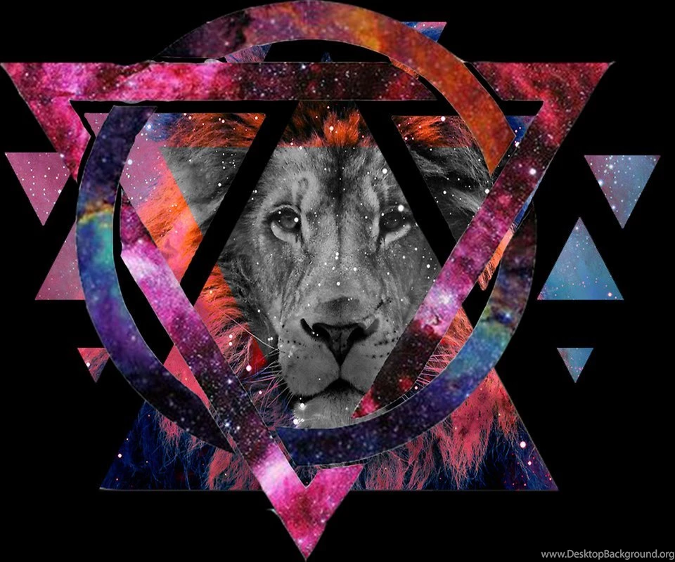 Hipster Wallpapers Galaxy Lion   Android Apps And Tests   AndroidPIT