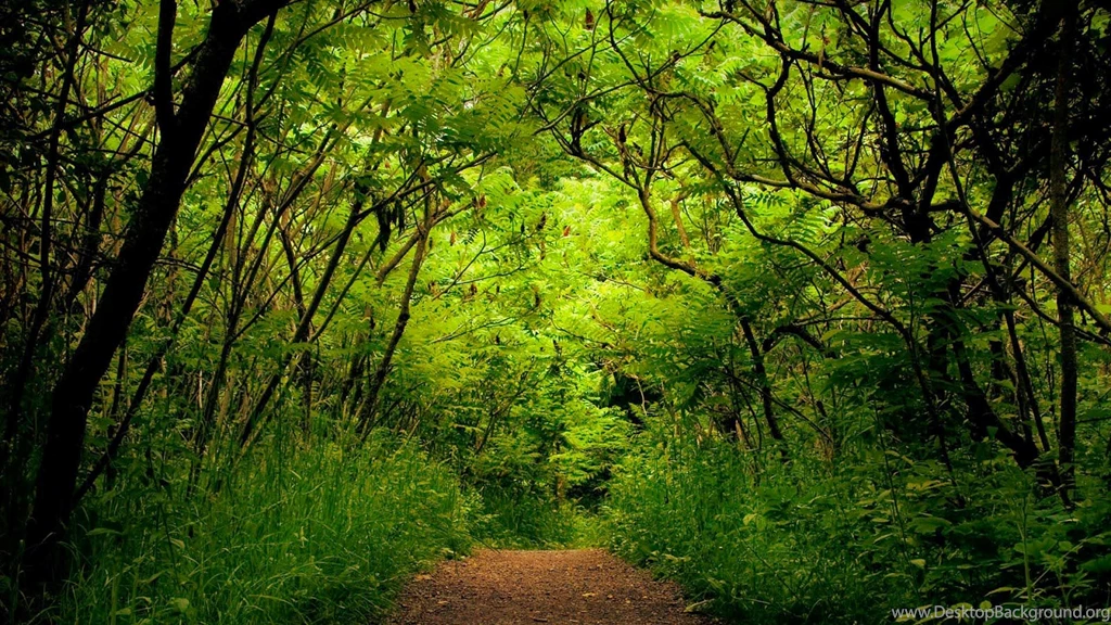 Full HD Wallpapers Desktop