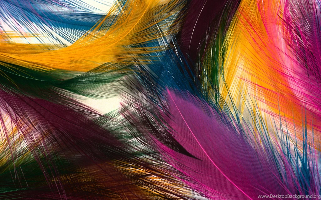 Feather, Wallpapers, Graphic, Combine (
