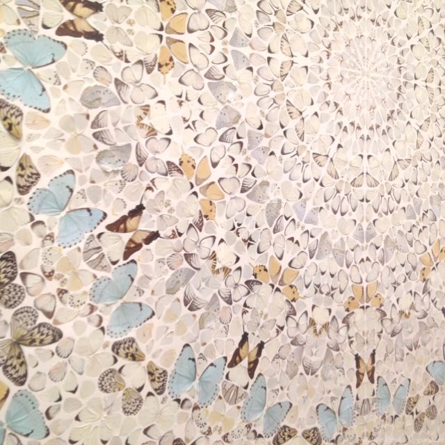 Damien Hirst On Pinterest