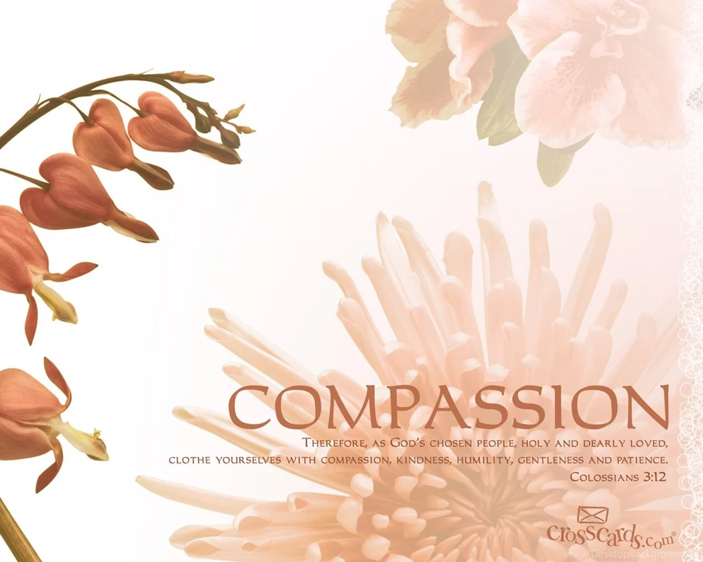 Crosscards Wallpapers Wallpapers Zone