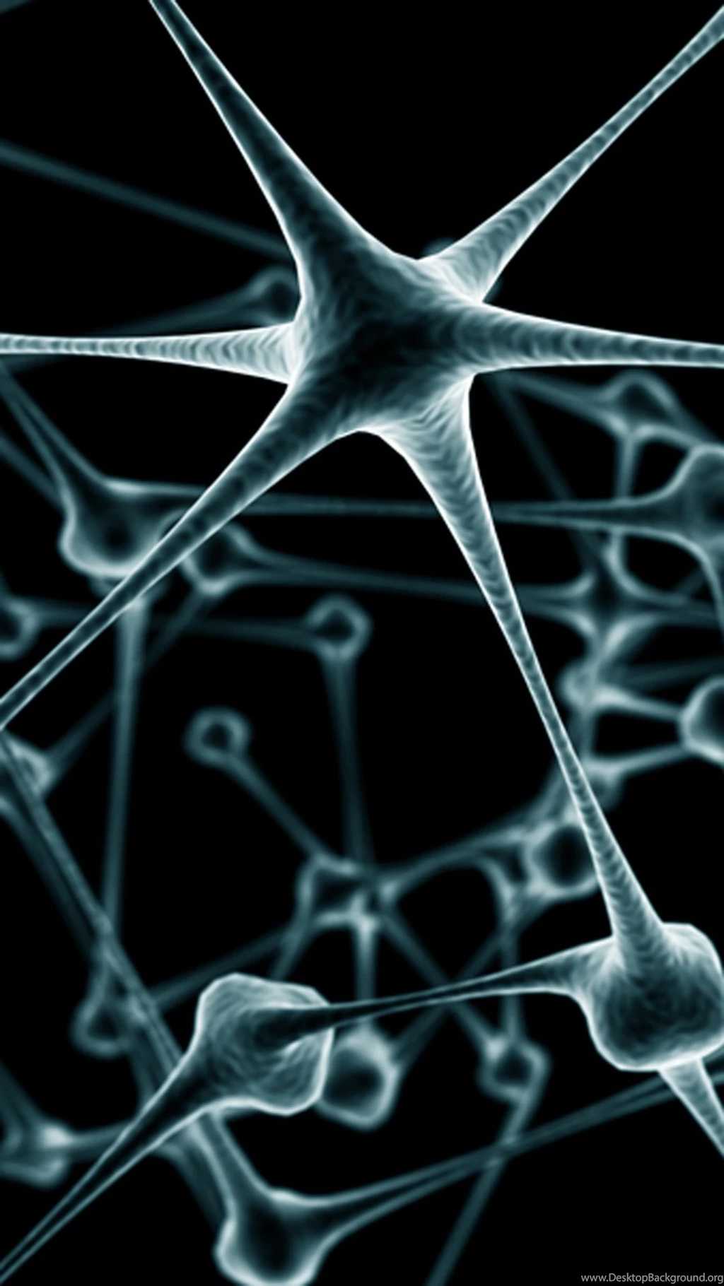 Awesome Htc Live Wallpapers VD6