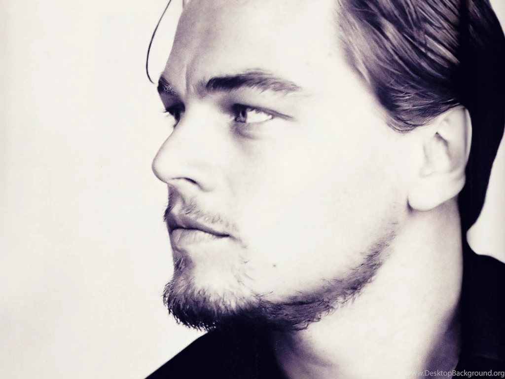 Best Hollywood Actor Leonardo Dicaprio Wallpaper, HQ Backgrounds ...