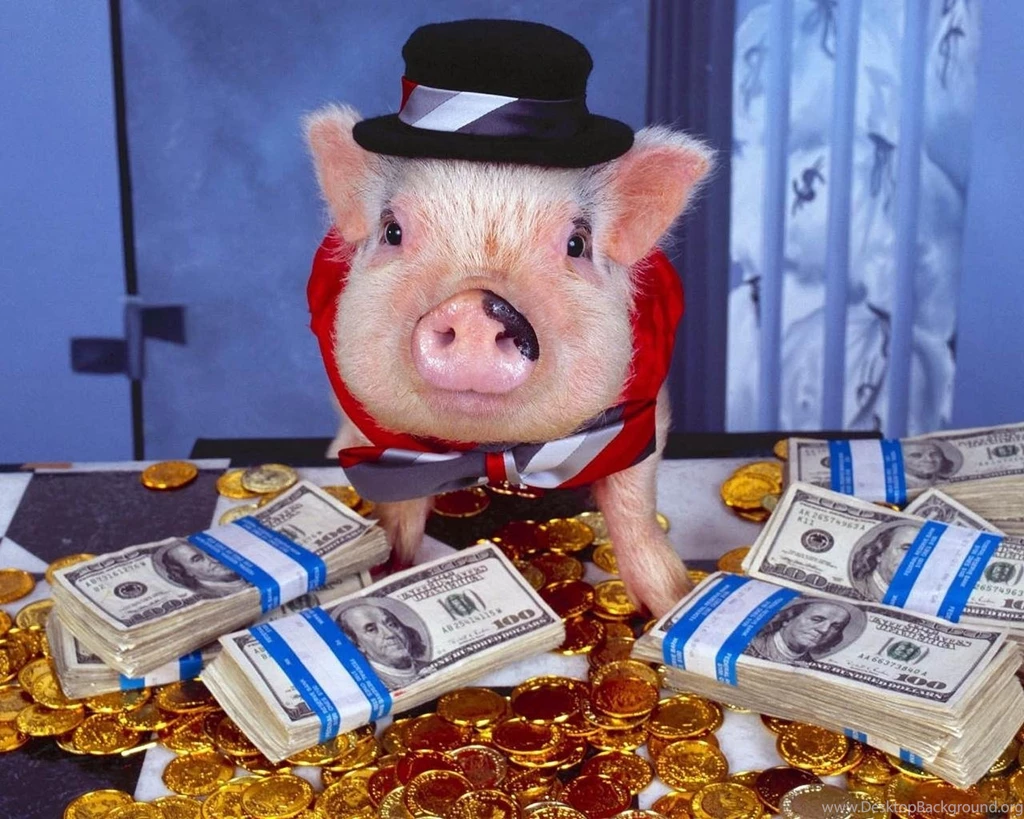 Download Wallpapers 1280x1024 Pig, Costume, Money, Hat, Gold ...