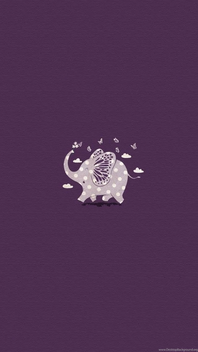 Elephant Everything On Pinterest