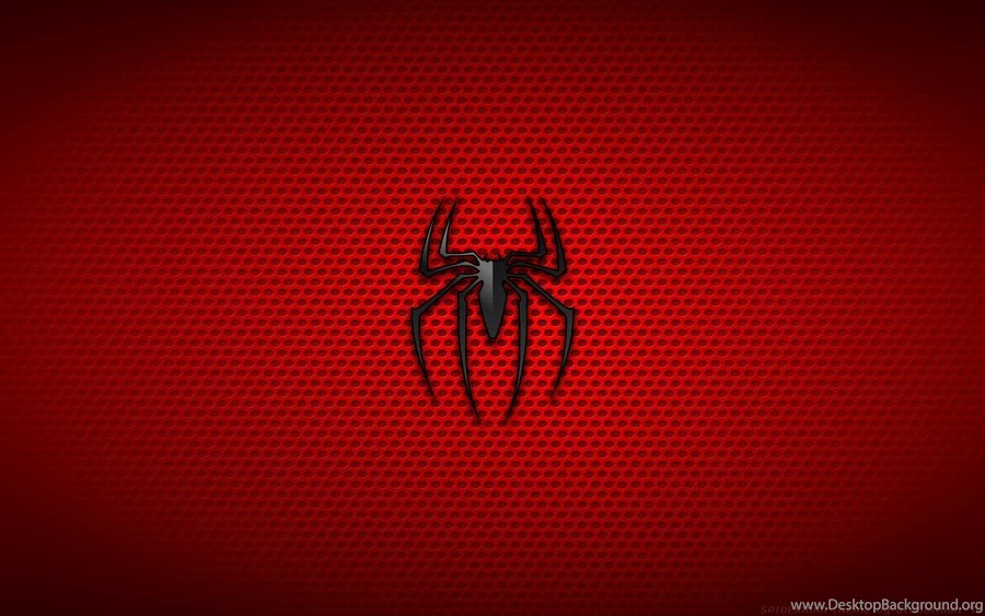 Pics, Facts, Funny Stuff About Animals & Nature Spiderman Web ...