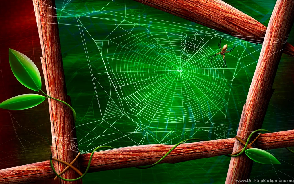 Spider And The Green Web Desktop Wallpapers