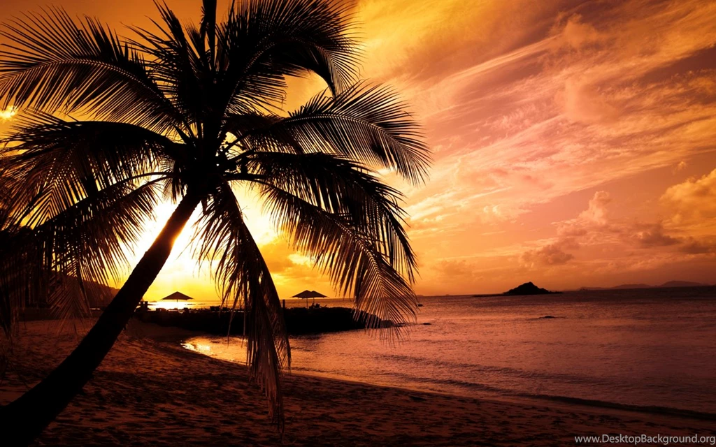 Sunset, Ocean, Wallpapers HD Wallpapers