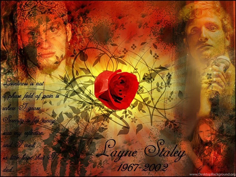 Browsing Wallpapers On DeviantArt