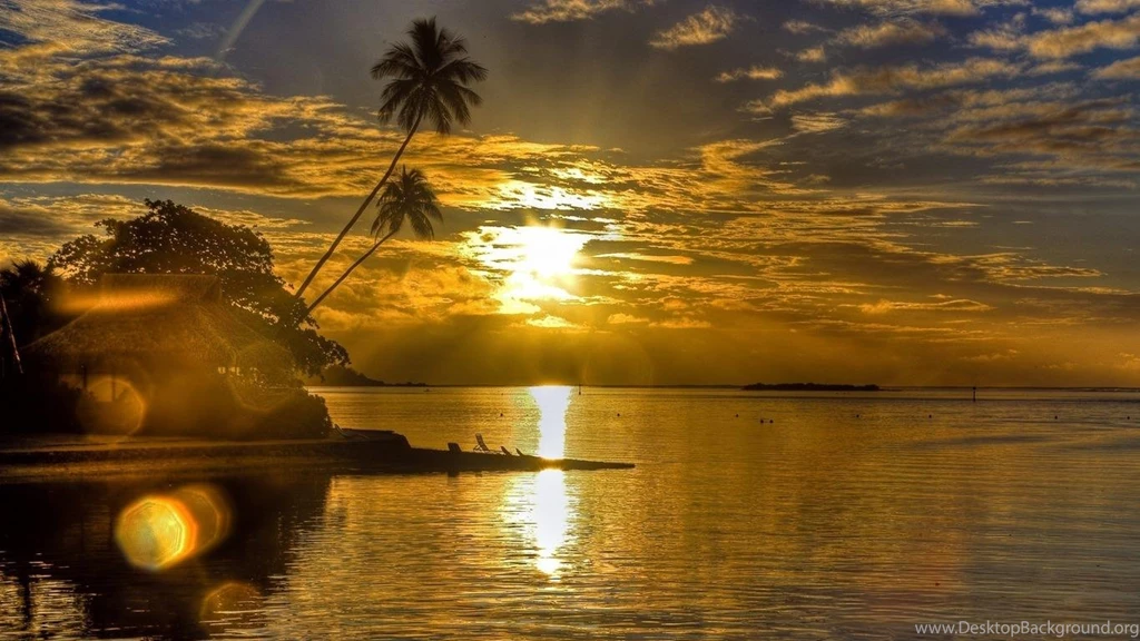 BRILLIANT SUNSET GLARE WALLPAPER (