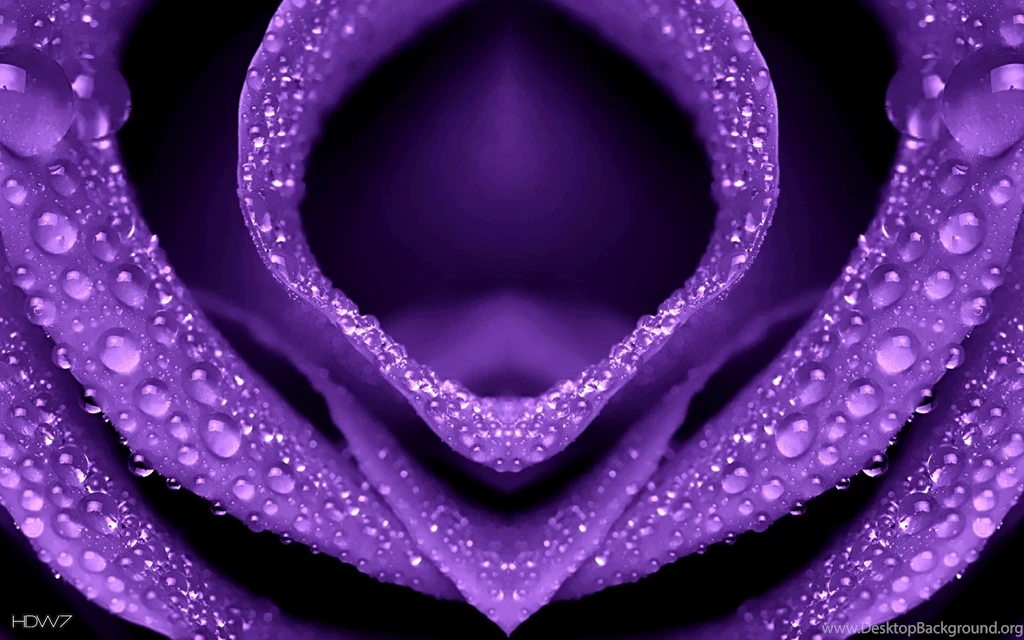 Water Droplets On Flowers Wallpaper_other_health Questions ...