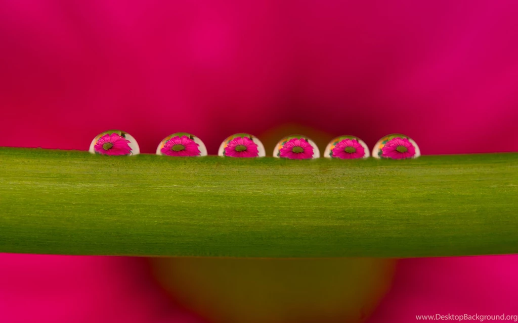 SPONGEBOB Sponge Out Of Water Family Cartoon Animation Family ...