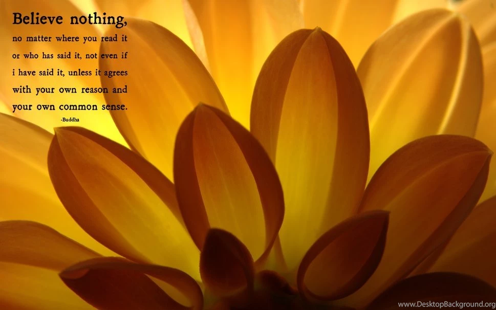 Buddha Quote Wallpapers   Album On Quotesvil.com