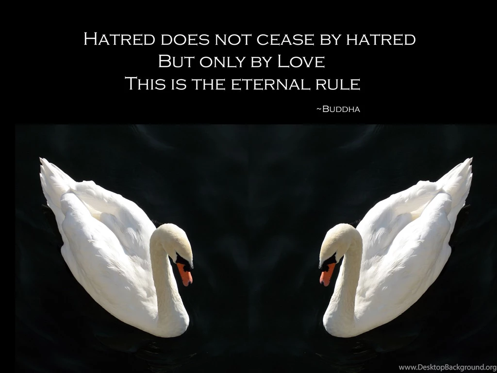 Buddha Quotes About Life. QuotesGram