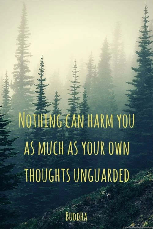 Buddha Quote On Pinterest
