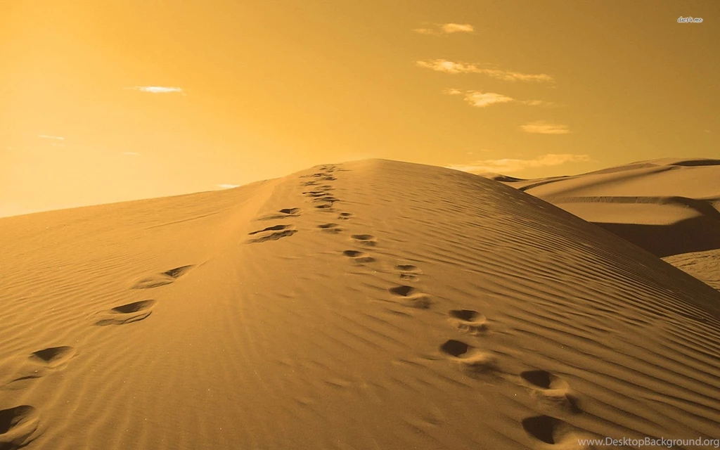 Footprints In The Sand Wallpapers Wallpapers Cave