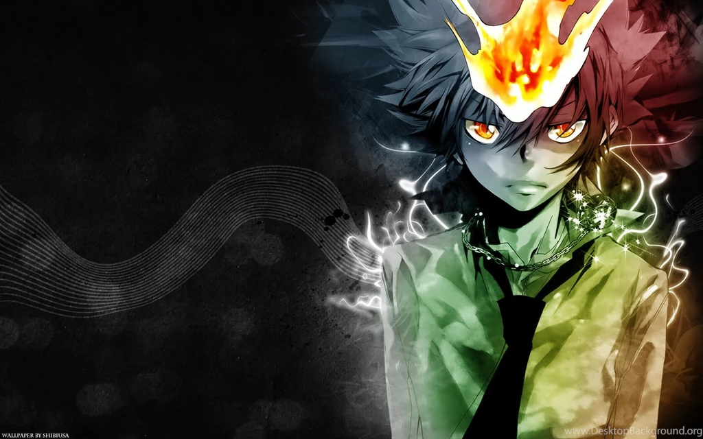 Katekyo Hitman Reborn Sawada Tsunayoshi