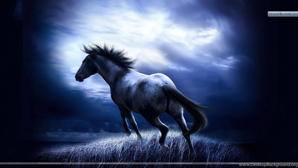 Horses Wallpapers, Photos & Images In HD