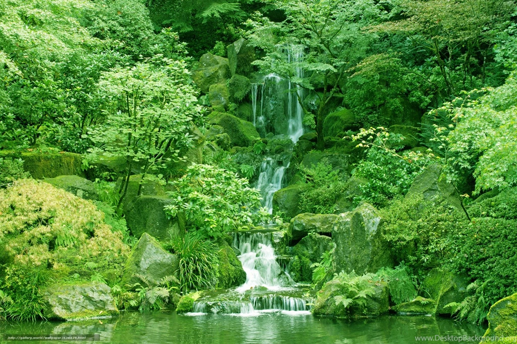 636626_japanese garden_washington park_portland_oregon_vo_2048x1365_www.Gde Fon.com.jpg