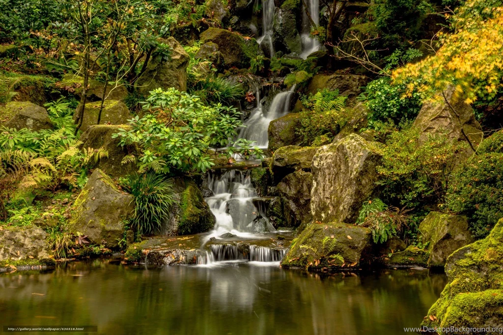 636518_japanese garden_washington park_portland_oregon_vo_6000x4000_www.Gde Fon.com.jpg