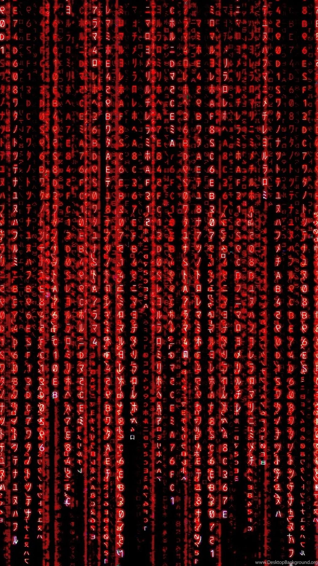 Computer Science Facebook Covers Iphone 6 Plus Wallpapers