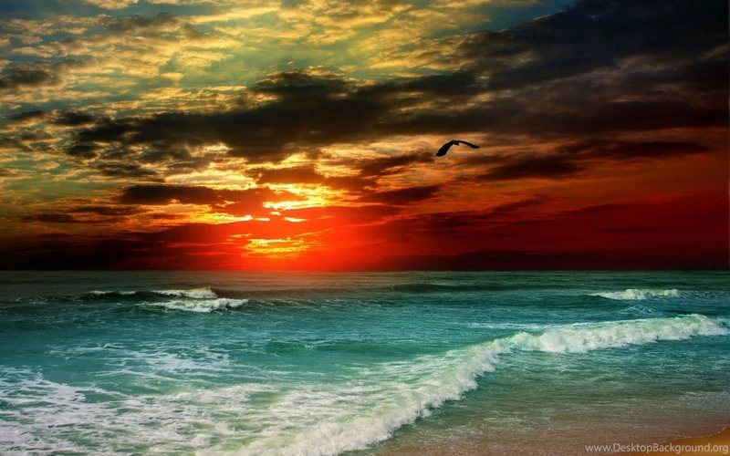 Sunset Beach Skyscapes Sea – Nature Beaches HD Desktop Wallpapers
