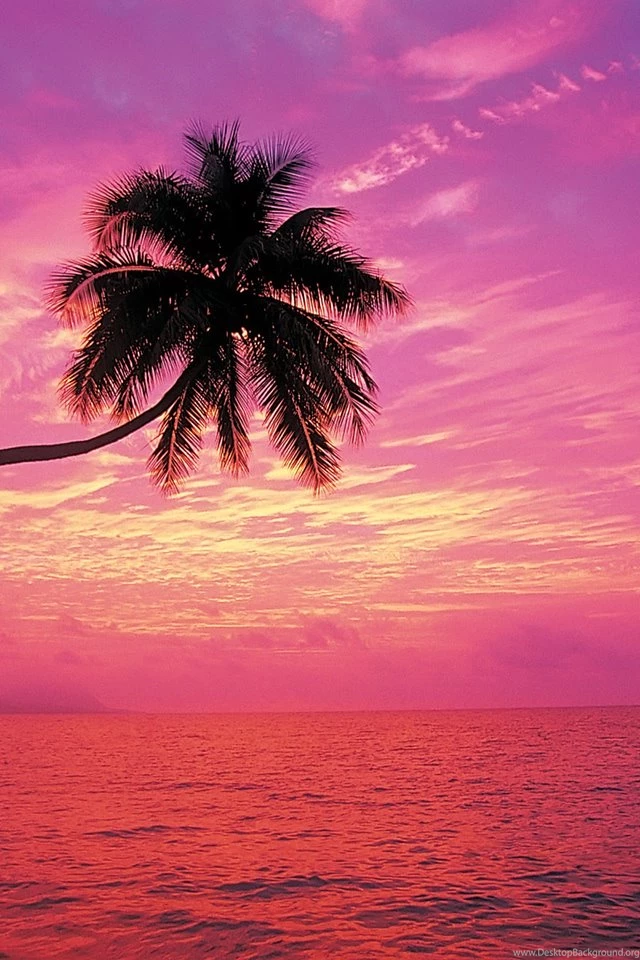 Rainbow Sunset Beach Wallpapers Beach Wallpapers