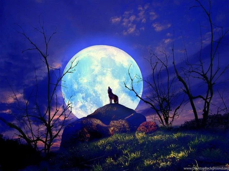 Download Widescreen Moon Wallpapers Free. Most Of These Common ...