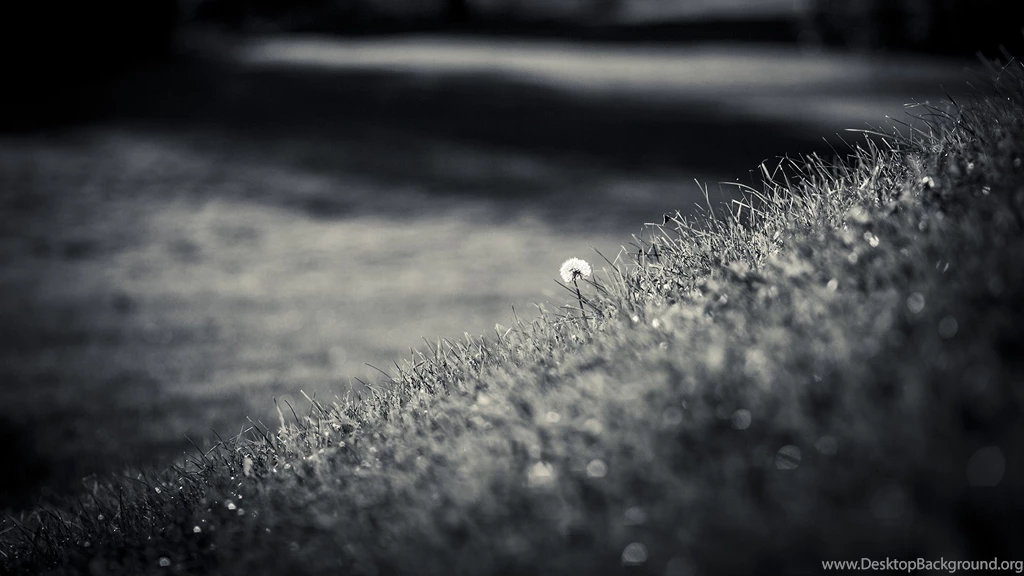 Black & White Computer Wallpapers, Desktop Backgrounds