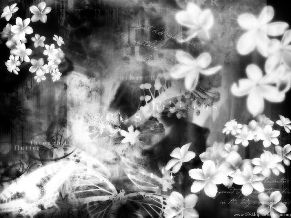 Black And White Photo Backgrounds   Wallpapers Zone