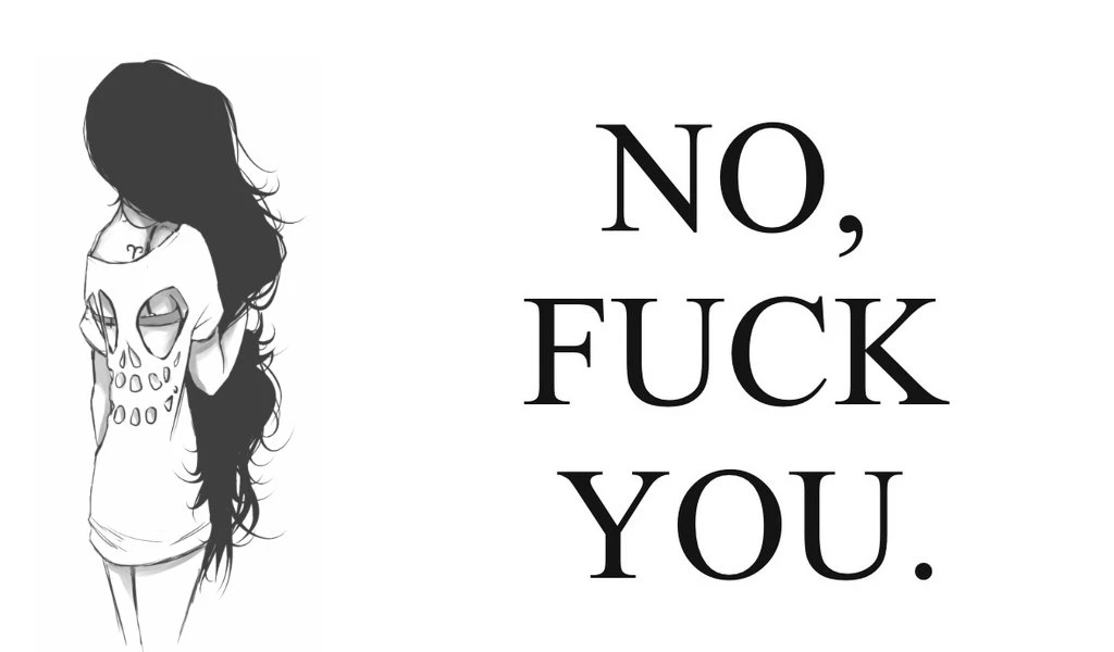 No,fuck You. : Desktop And Mobile Wallpapers : Wallippo
