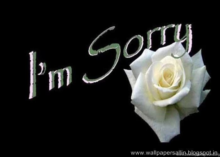 Wallpapers Gallery: I Am Sorry Wallpapers
