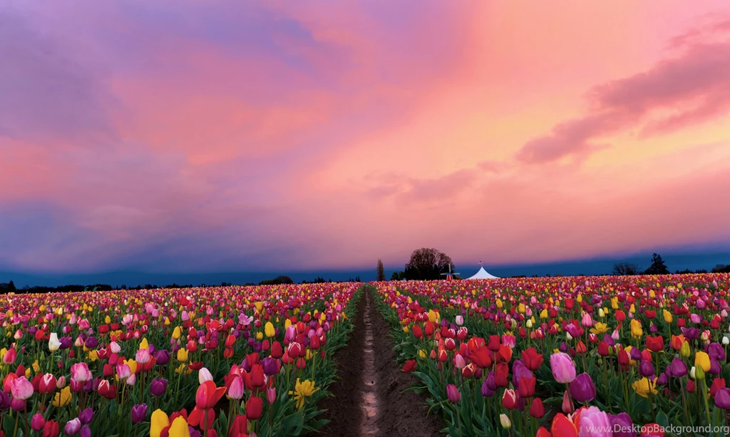 Hd Landscape Images, View, Widescreen, Wallpapers Of Nature, Cool ...