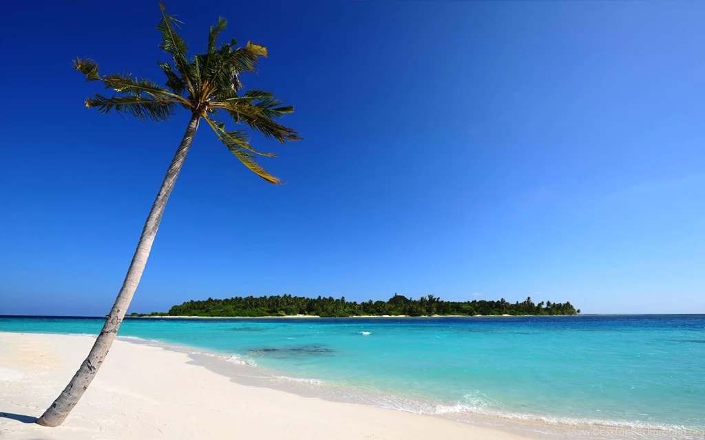 Free Beach Wallpaper Backgrounds Background Images