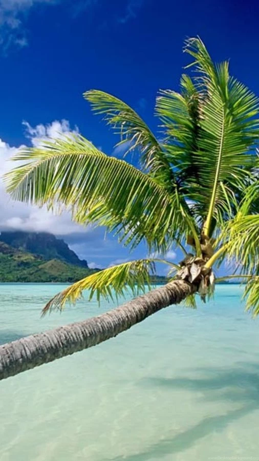 Beach Wallpapers For Chat Android Apps On Google Play