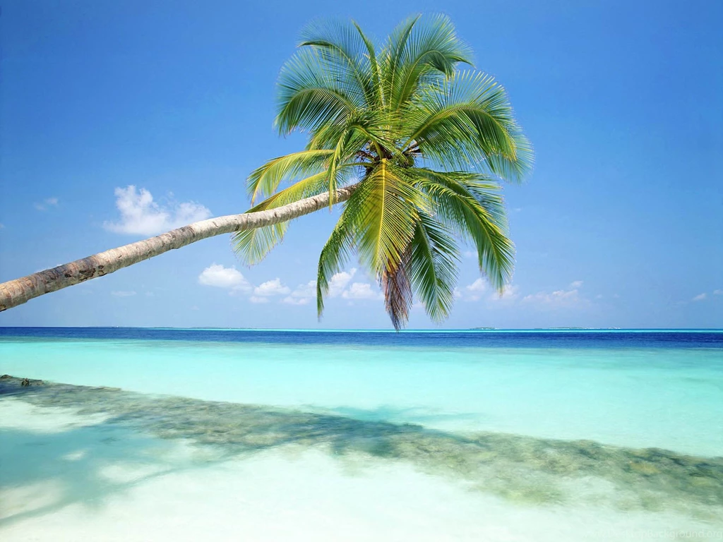Beach Wallpapers Part 3 Transformers Wallpapers