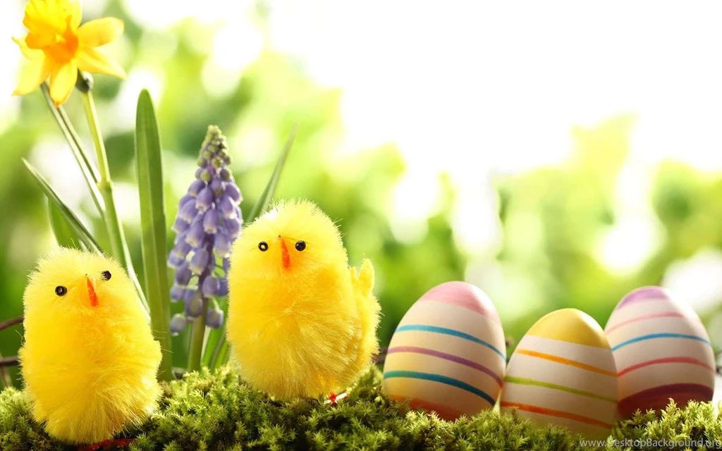 Easter Egg Wallpapers Android Apps On Google Play