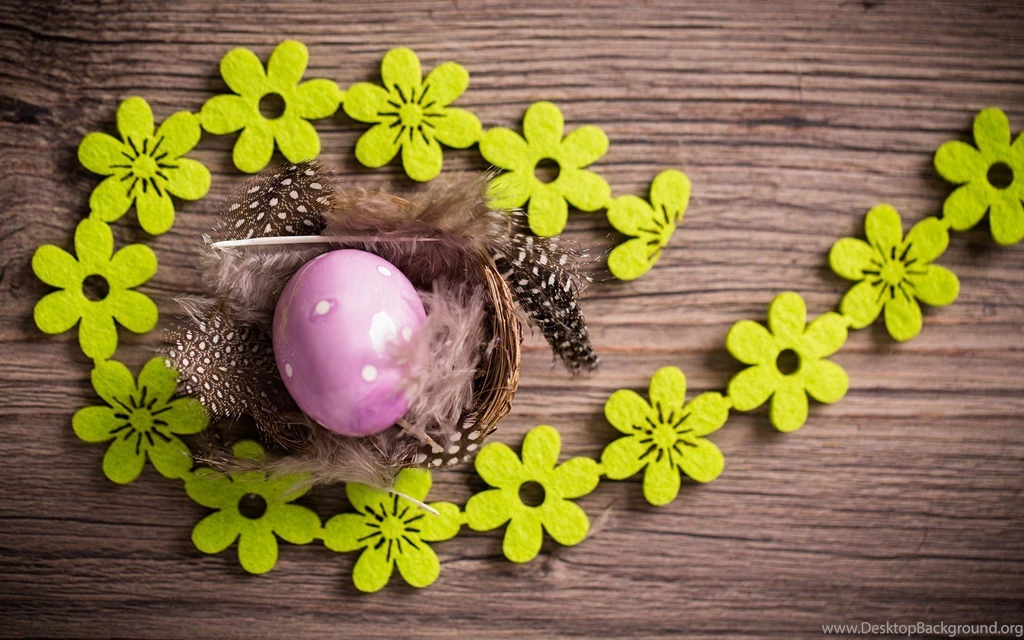 Easter Egg Feathers Flowers Mood HD Wallpapers FreeWallsUp